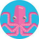 Octopus 