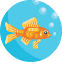 Goldfish 