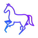 caballo icon