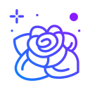 rosa icon