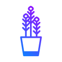 lavanda icon