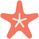 estrella de mar