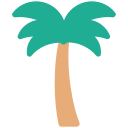 palmera