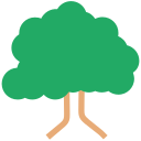 Árbol