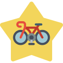 estrella icon