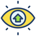 ojo icon