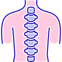 columna vertebral icon