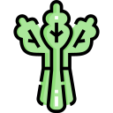 apio icon