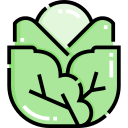 repollo icon