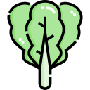 lechuga icon