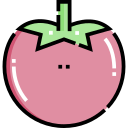 tomate icon