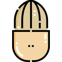 almendra icon