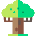 baobab icon