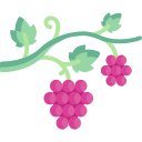 uvas icon