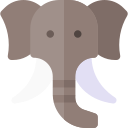 elefante