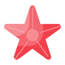 estrella de mar 