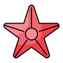 estrella de mar 