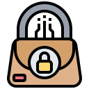 seguridad icon