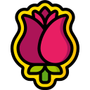 rosa icon