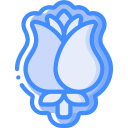 rosa icon