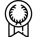 Medal icon