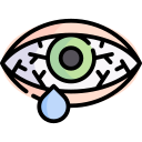 conjuntivitis icon