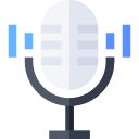 audio icon