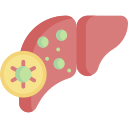 hepatitis icon