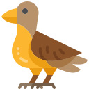 pájaro icon