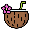 agua de coco icon