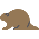 castor 