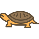 tortuga