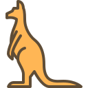 kangourou 