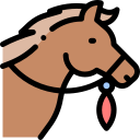 caballo icon