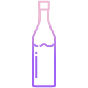 botella