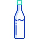 botella