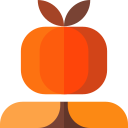 calabaza icon