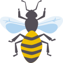 abeja icon