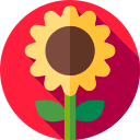 girasol icon