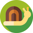 caracol icon