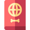 pasaporte icon