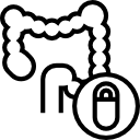 intestino icon