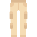 Pants icon