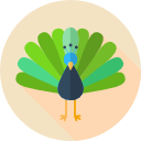 pavo icon