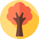 arbol de otoño icon