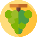 uvas icon