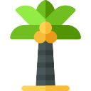 palmera icon