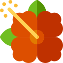 hibisco icon