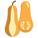 butternut icon