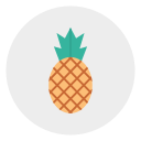 piña icon